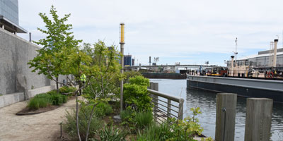 Newtown Creek