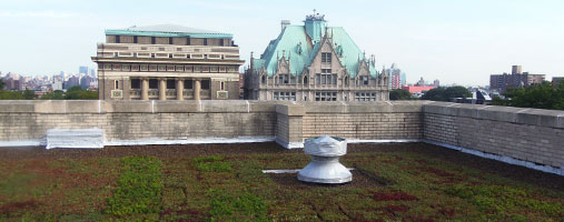 Green Roof