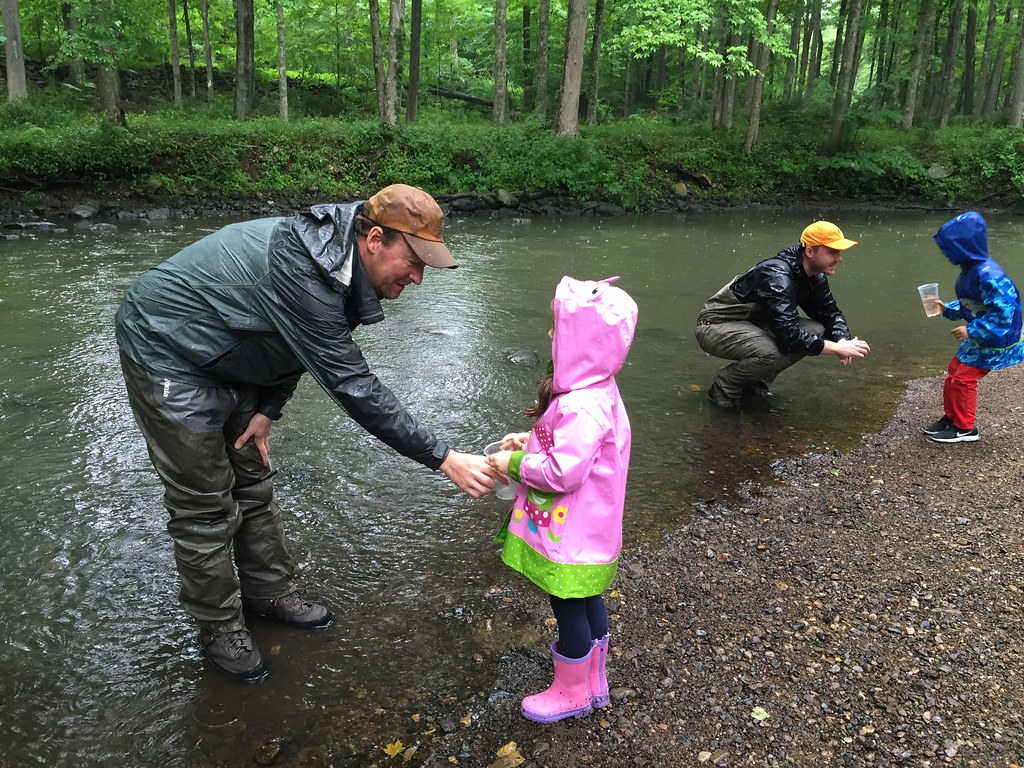 Manhattan Students Release Classroom Trout Into Watershed Streams