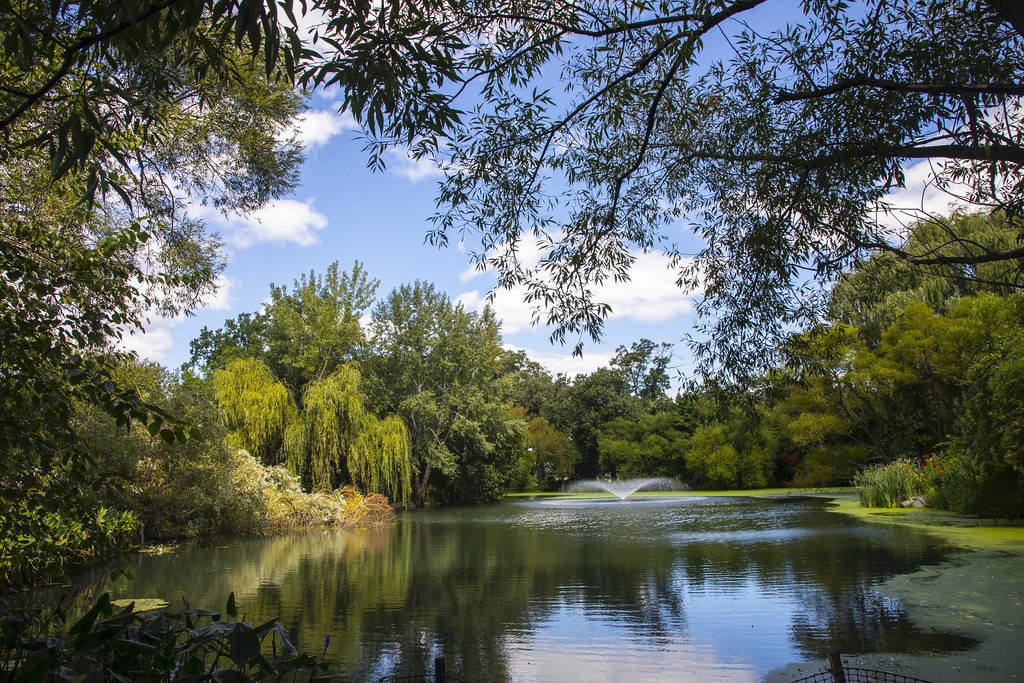 New Green Infrastructure in Roy Wilkins Park Helps to Manage Stormwater