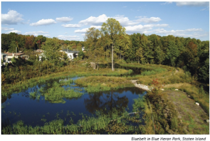 image of bluebelt wetland