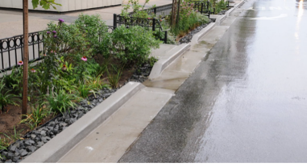 rain gardens