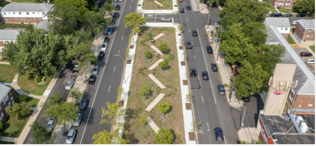 aerial view of green medians