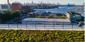 view of east river from a green roof