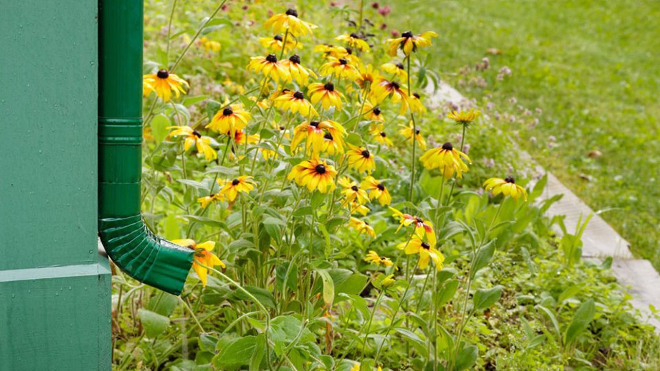 Downspout going into a garden