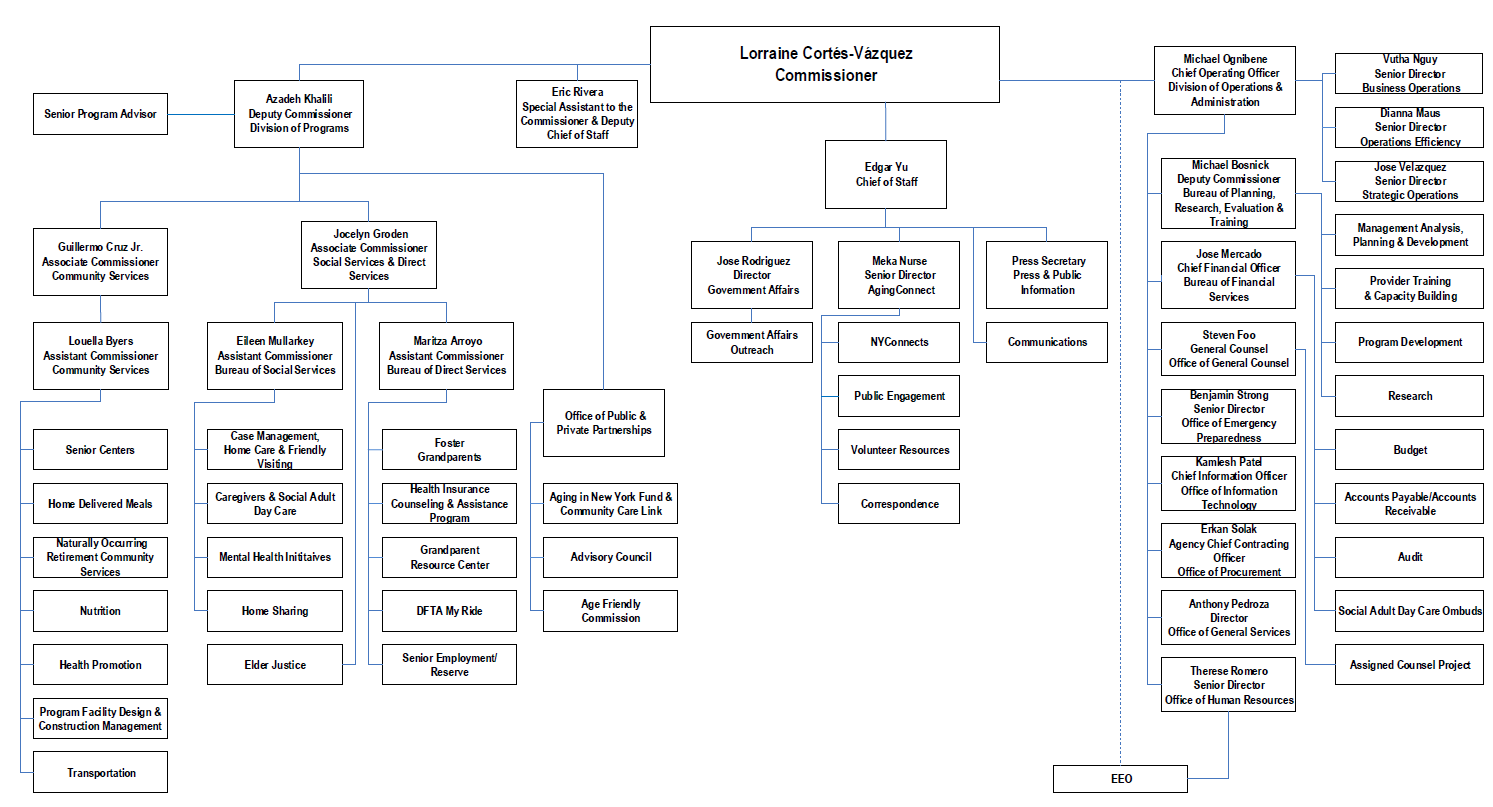 chart dior organizational structure