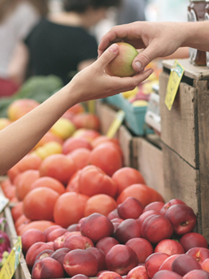 Farmer's Market