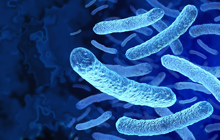 Illustration of legionella bacteria that cause Legionnaires' disease. Bacteria float on a blue background.
                                           