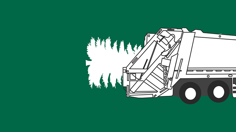 An unadorned Christmas tree peaking out from the back of Sanitation truck hopper
                                           