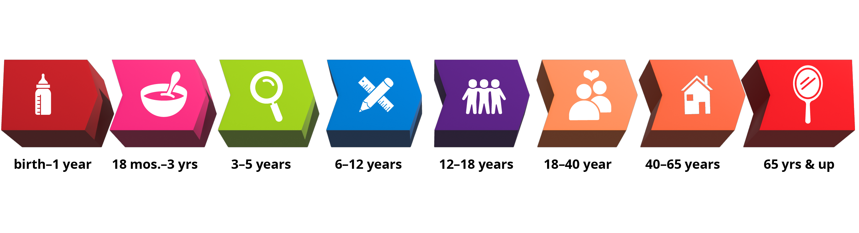 life cycle graphic