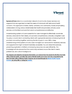 Systems of Care document cover