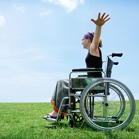 Disabilities, Access & Functional Needs