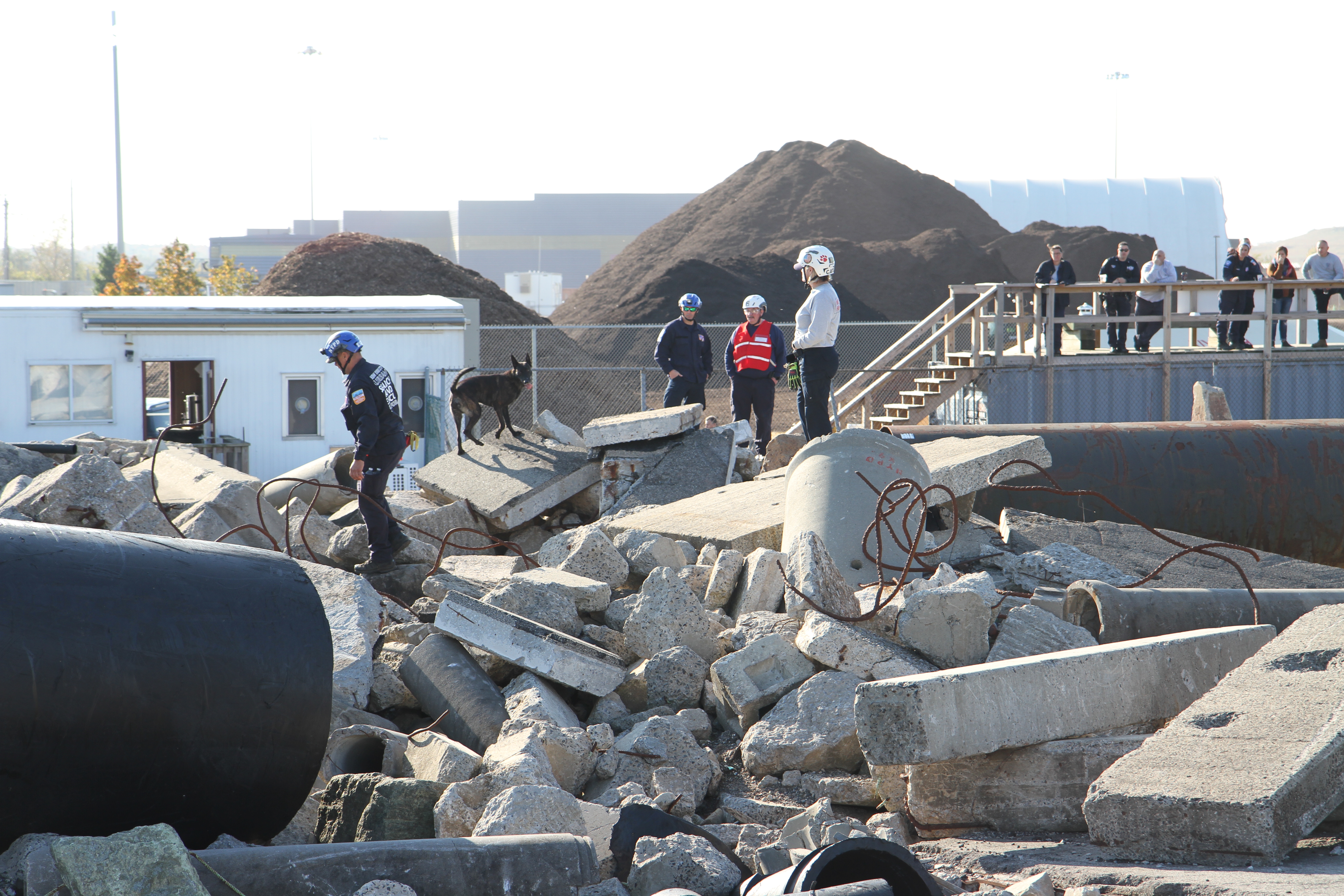 Evaluators look on as US&R canine units search a pile of rubble.