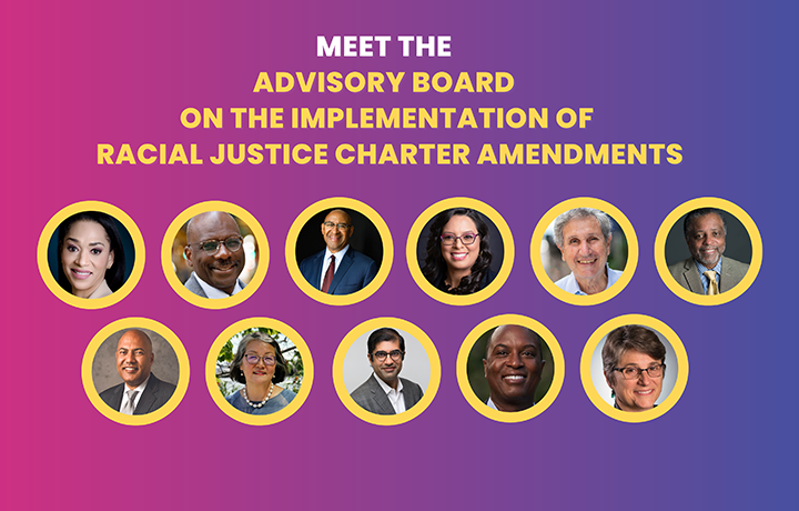 Meet the Advisory Board on Implementation or Racial Justice Charter Amendments
                                           