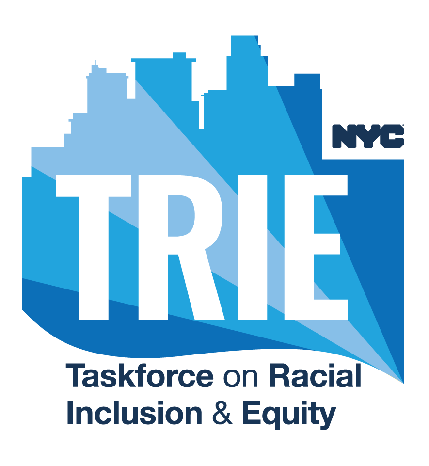 the Taskforce on Racial Inclusion & Equity logo