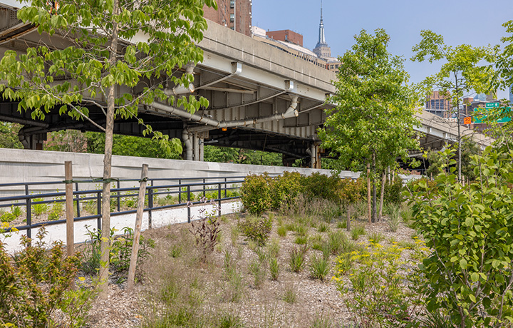 Park by a highway
                                           