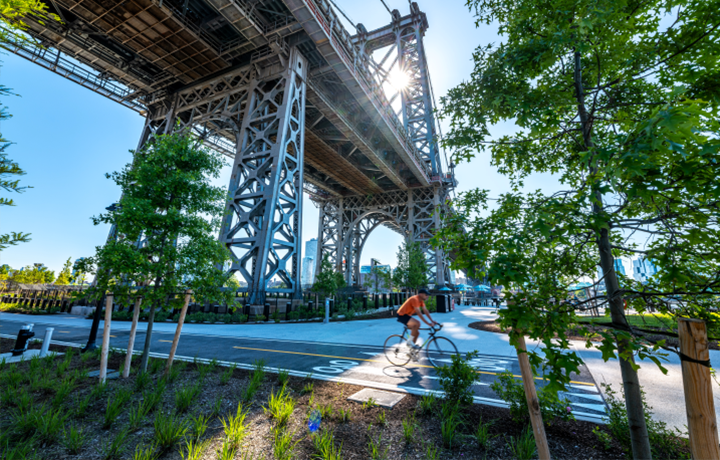 Cyclist rides through open area of East River Park
                                           