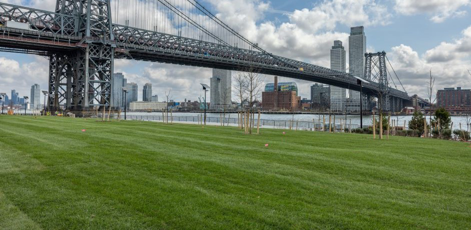 natural sod installed on Delancey Street Lawn