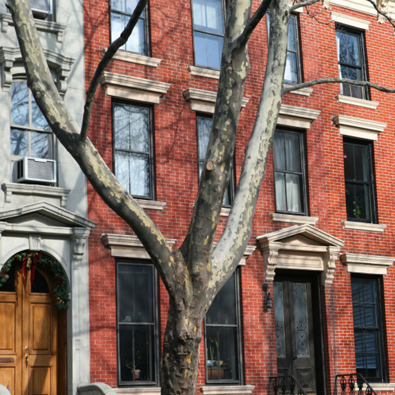 Photo of red brick row houses