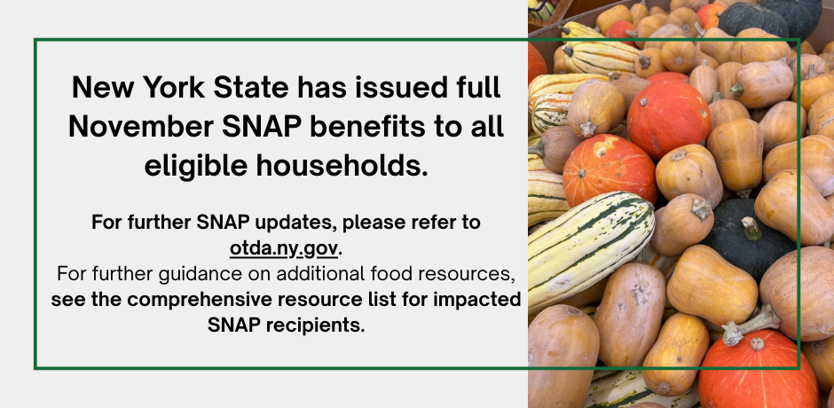 Notice about the November SNAP benefit delay due to federal government shutdown, with details and guidance.
                                           