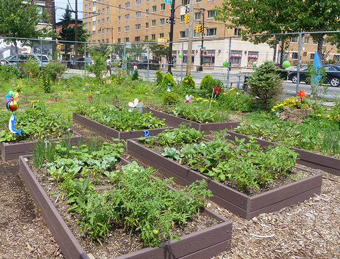 Urban garden plot