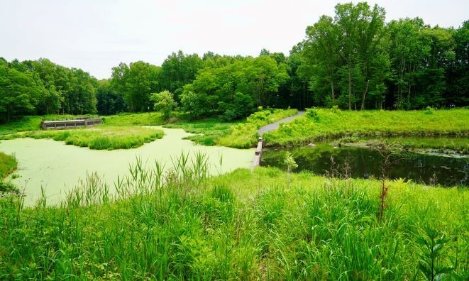 The Sweet Brook Bluebelt on Staten Island, one kind of tool being considered for the Jewel Streets area. Credit: New York City Department of Environmental Protection