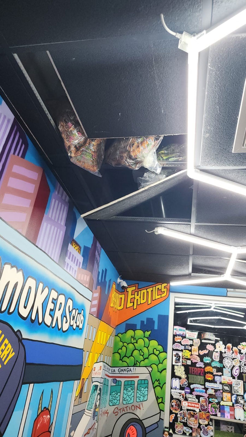 bags of weeds hidden in the ceiling
