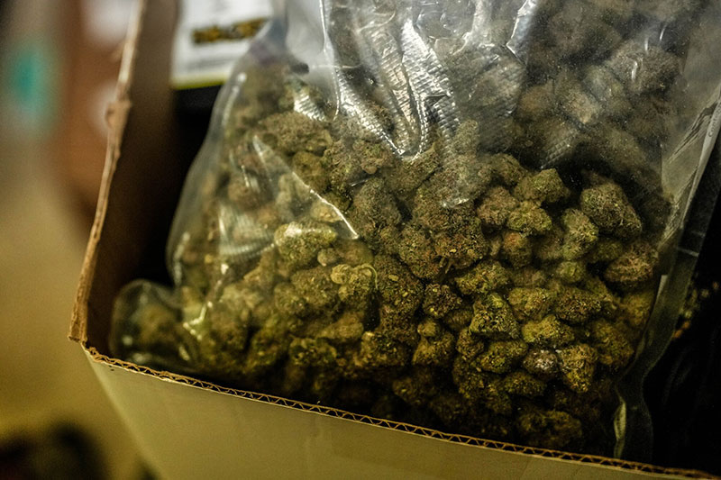 a bag of illegal weeds.