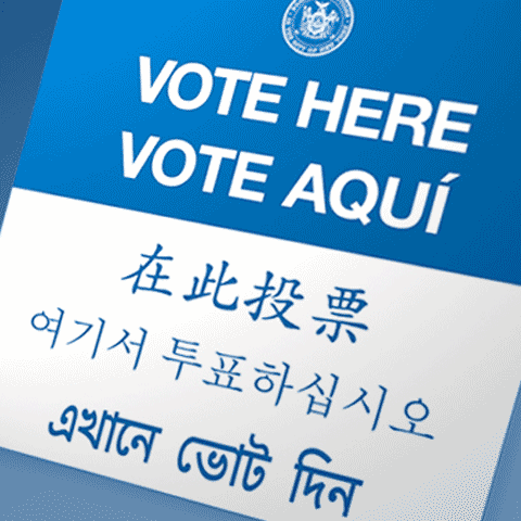 Logo for Voting Information