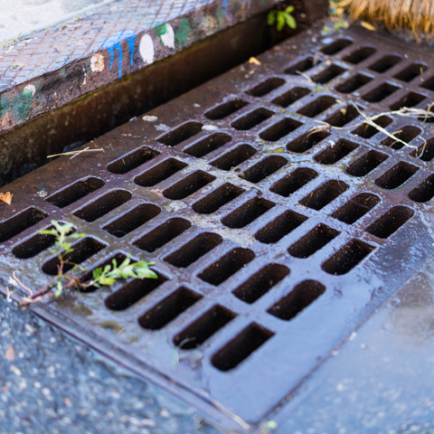Logo for Stormwater Permits