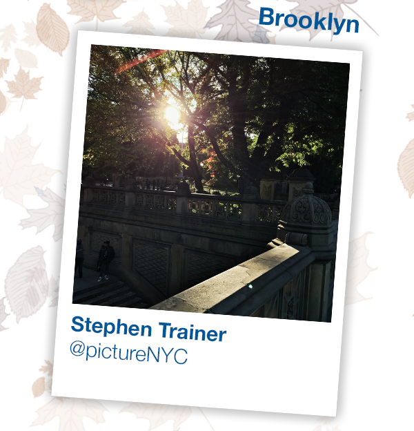 Stephen Trainer - Brooklyn