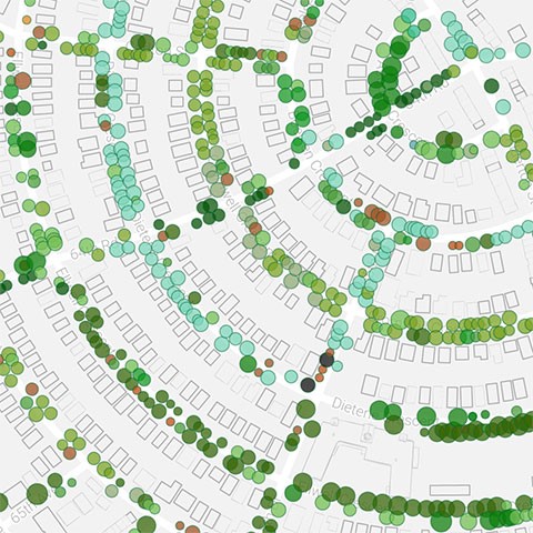 New York City Street Tree Map