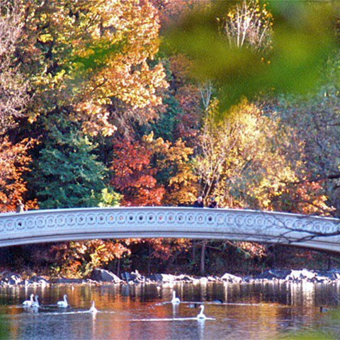 City of New York @nycgov - Photo credit: NYC Parks