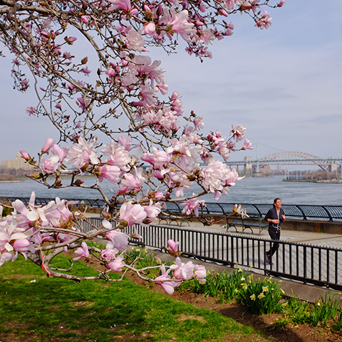 City of New York @nycgov - Photo credit: NYC Parks