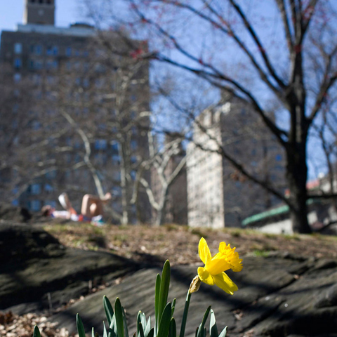 City of New York @nycgov - Photo credit: NYC Parks