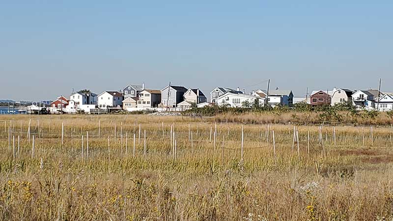 A row of housing in the distance behind a field of grass