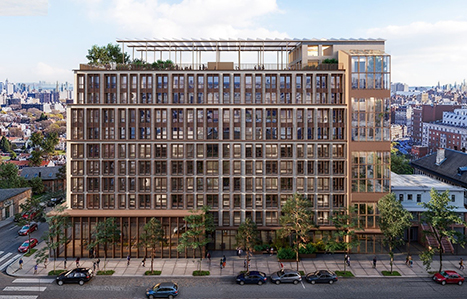 Street-level view from Stebbins Avenue, courtesy of Purpose by Design Architects 