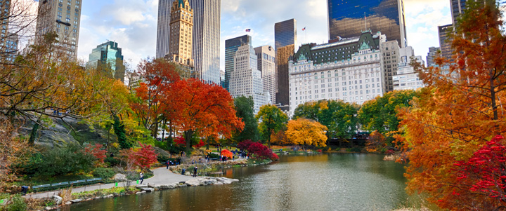 Central Park in the Fall