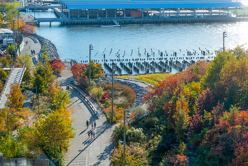 Brooklyn Bridge Park by Julienne Schaer