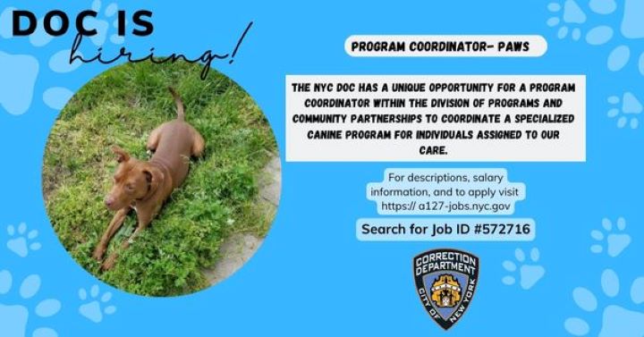 Hiring
                                           