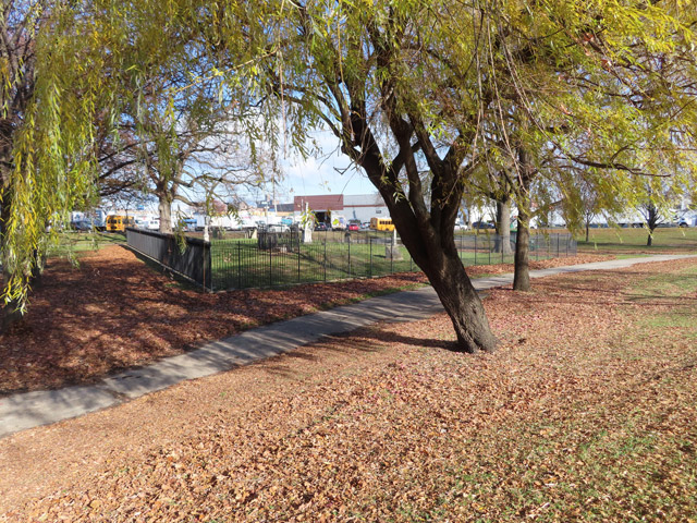 Park in winter, with tree in foreground, a footpath, and cemetery with headstones surrounded by a black metal fence in the background