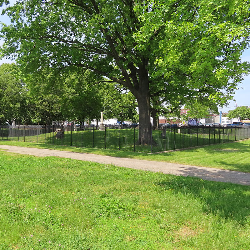 View of a grassy area in the foreground, with a large tree and a fenced-in area with headstones visible in the distance