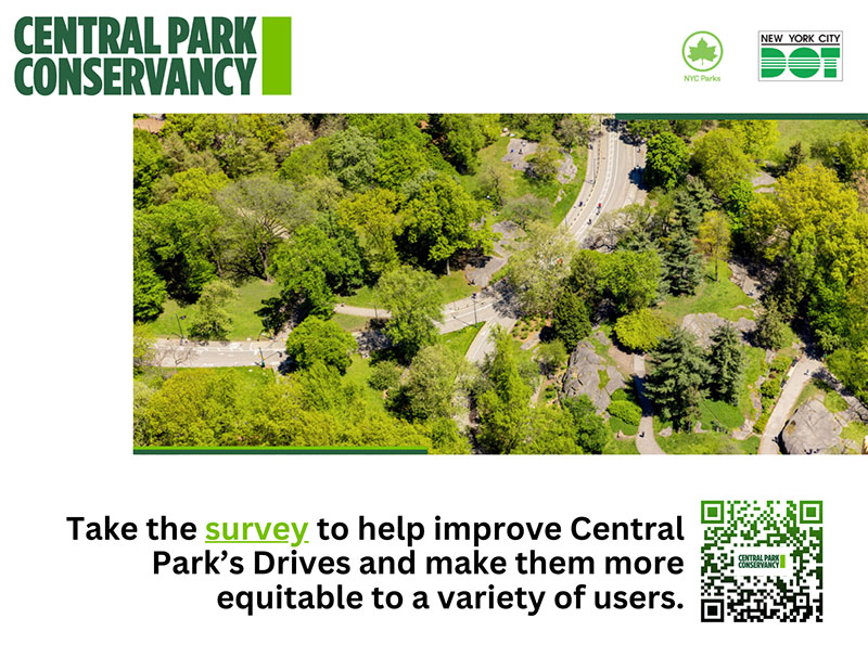 Take the survey to help improve Central Park's Drive and make them more equitable to a variety of users.