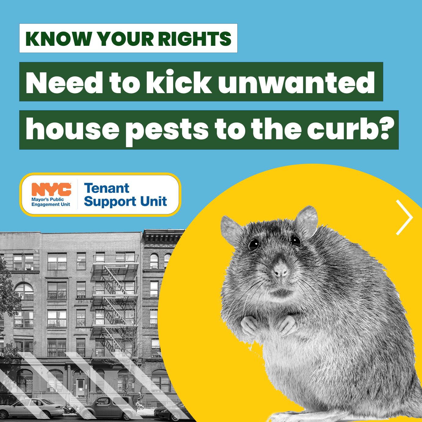 Text reads Know your rights: Need to kick unwanted house pests to the curb? Graphic includes a logo for the Tenant Support Unit and an image of a rat.