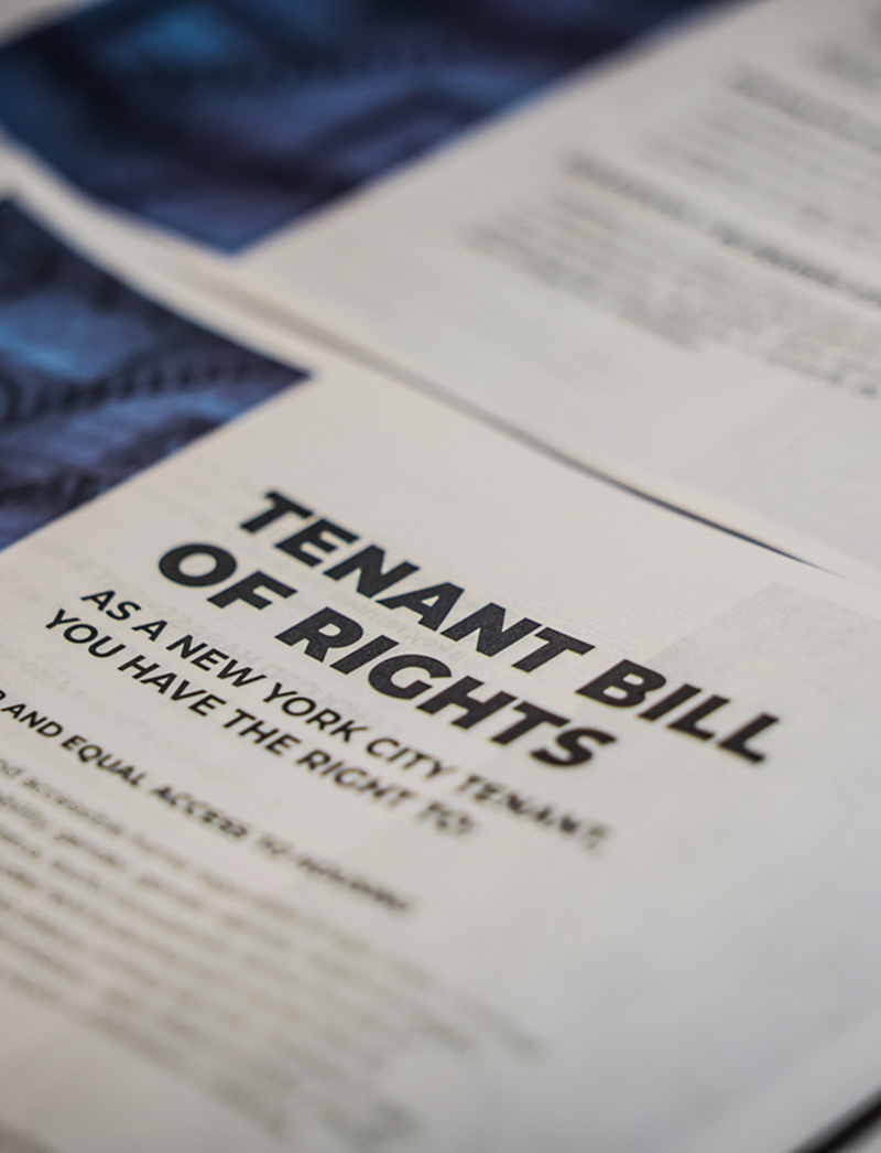 One page flyer with information on Tenants Rights
