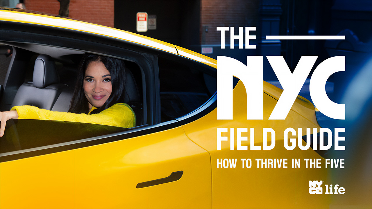 The NYC Field Guide logo image