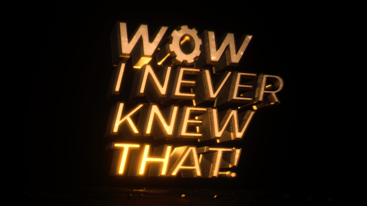 Logo image of Wow, I Never Knew That!