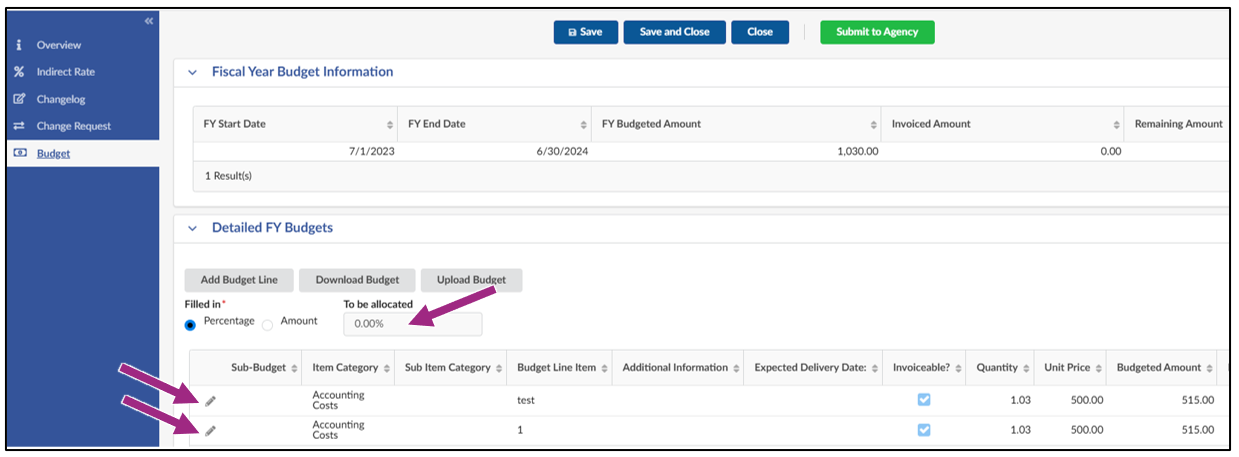 Multiple budget lines are visible in the Detailed FY Budgets table.
