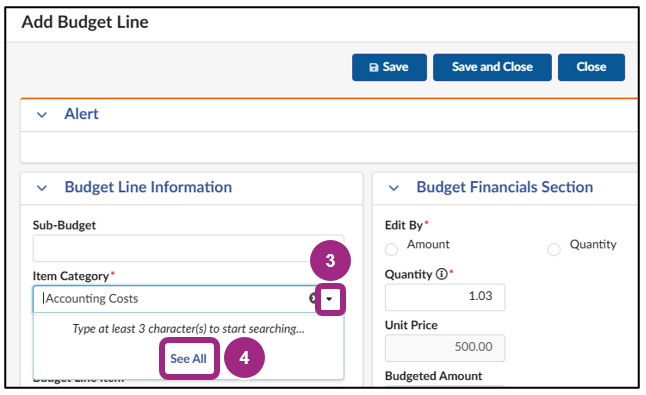 The Budget Line Information section of the Add Budget Line window.