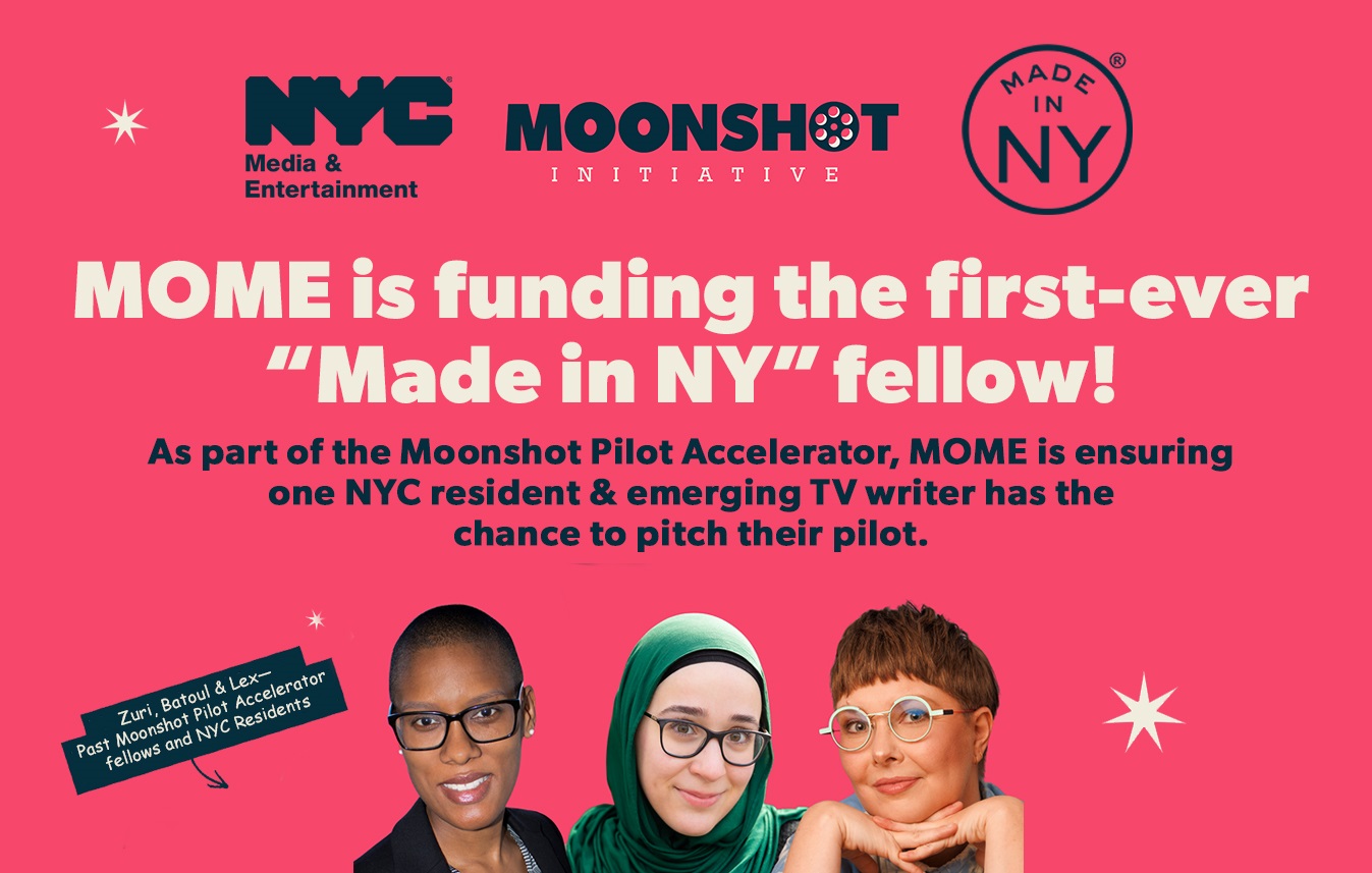 MOONSHOT PILOT ACCELERATOR
                                           